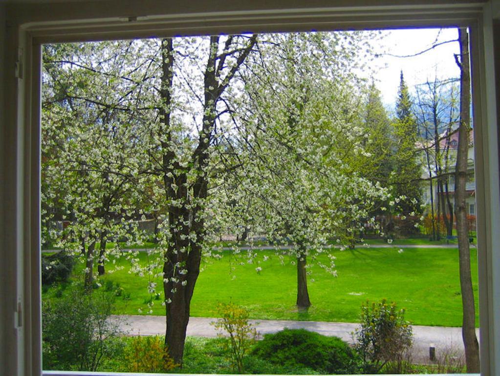 Ferienwohnung Am Ortenaupark Bad Reichenhall Bagian luar foto